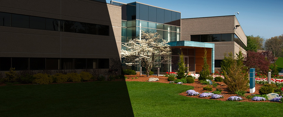 Manasquan Landscapers