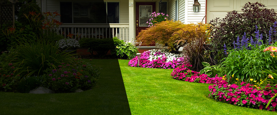Manasquan Landscapers