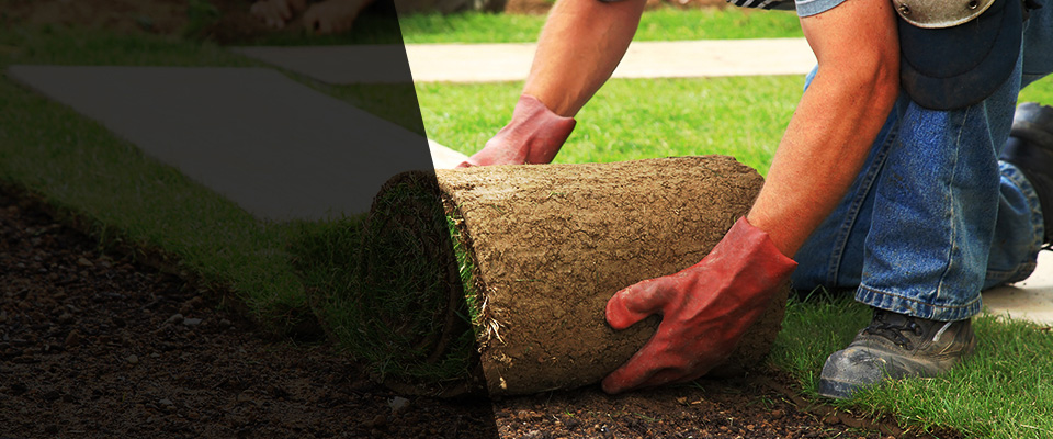 Manasquan Landscapers